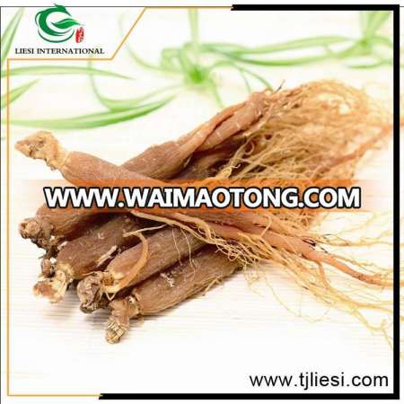 china wholesale raw pure red ginseng roots crude herbs